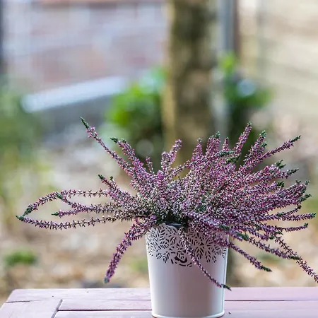 An Der Kriemhildmühle Apartment