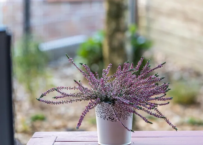 An Der Kriemhildmuehle 公寓